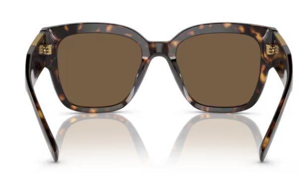 Versace VE4437U 108/73 Havana /Dark Brown Square Women's Sunglasses