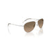 Benedict 5036GN silver menÃ¢â‚¬â„¢s sunglasses 4