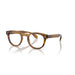Oliver Peoples 0OV5036 Sheldrake 1579 - Raintree Unisex Eyeglasses 49 (M) 3