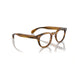 Oliver Peoples 0OV5036 Sheldrake 1579 - Raintree Unisex Eyeglasses 47 (S) 6