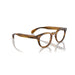 Oliver Peoples 0OV5036 Sheldrake 1579 - Raintree Unisex Eyeglasses 47 (S) 7