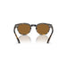 Sheldrake 100353 cocobolo unisex sunglasses 3