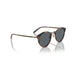 OP-505 1007R5 mahogany menÃ¢â‚¬â„¢s sunglasses 4
