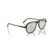 Oliver Peoples 0OV5439U Nilos 1625 - Espresso Unisex Eyeglasses 53 (L) 4