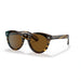 Model 100357 cocobolo womenÃ¢â‚¬â„¢s sunglasses 1