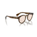 Oliver Peoples 0OV5475U 1689 - Sepia Smoke Unisex Eyeglasses 49 (M) 4