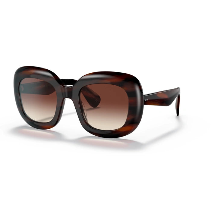 Jesson 172513 tortoise womenÃ¢â‚¬â„¢s sunglasses 1