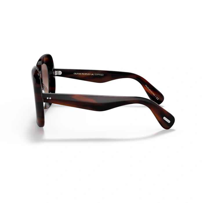 Jesson 172513 tortoise womenÃ¢â‚¬â„¢s sunglasses 5