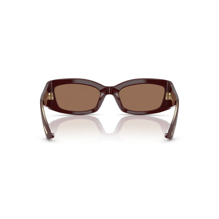 0OV5575SU Woman Burgundy Sunglasses 4