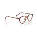 Oliver Peoples 0OV5577 Sarelle 1799 - Tuscany Tortoise Unisex Eyeglasses 47 (S) 5