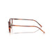 Oliver Peoples 0OV5578 Sobel 1799 - Koa Tortoise Unisex Eyeglasses 49 (M) 3