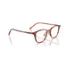Oliver Peoples 0OV5578 Sobel 1799 - Koa Tortoise Unisex Eyeglasses 49 (M) 5