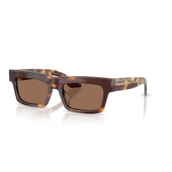 100773 - Dark mahogany Woman sunglasses 1