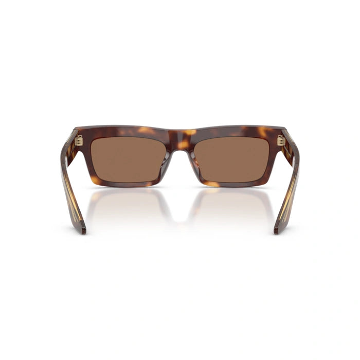 100773 - Dark mahogany Woman sunglasses 3