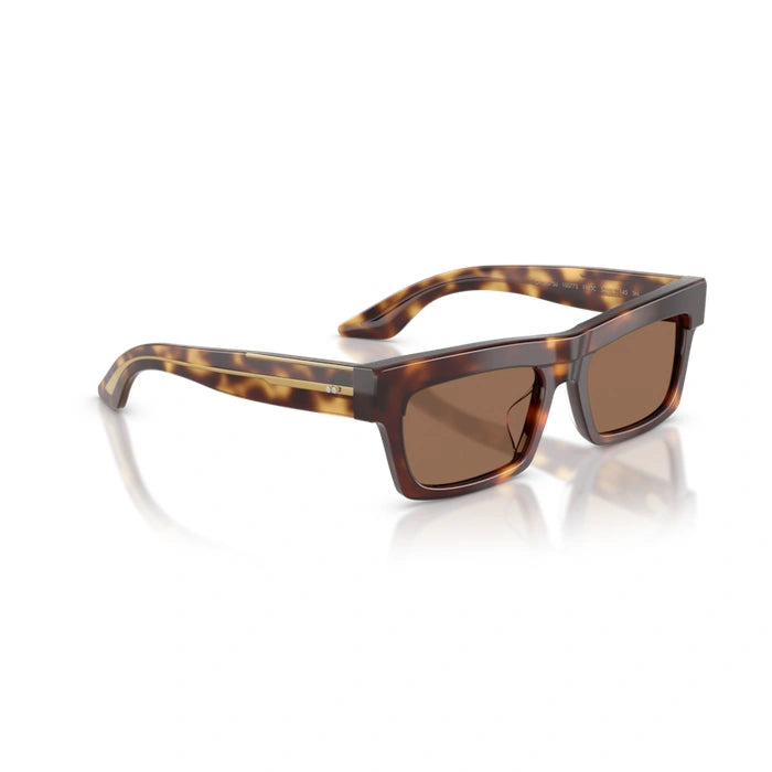 100773 - Dark mahogany Woman sunglasses 4