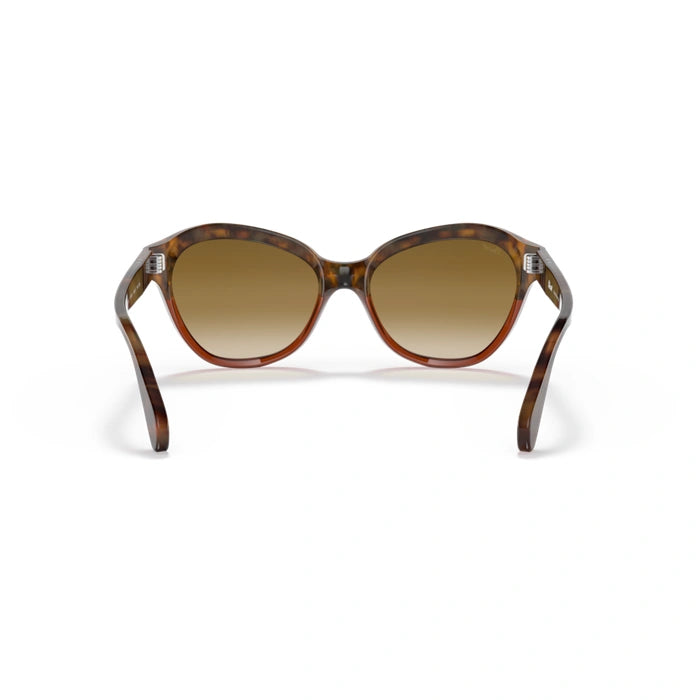 Persol 0po0582s-112151 Tortoise brown/bordeaux Female Sunglasses 3