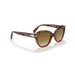 Persol 0po0582s-112151 Tortoise brown/bordeaux Female Sunglasses 4