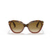 Persol 0po0582s-112151 Tortoise brown/bordeaux Female Sunglasses 5