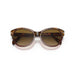 Persol 0po0582s-112151 Tortoise brown/bordeaux Female Sunglasses 6