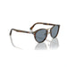 Persol 0po3108s-108-56 Caffe Male Sunglasses 5