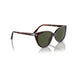 Persol 0po3251s-24-31 Havana Female Sunglasses 4