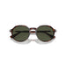 Persol 0po3255s-24-31 Havana Unisex Sunglasses 6