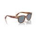 Persol 0po3257s-96-56 Terra di siena Unisex Sunglasses 4