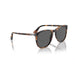 Persol 0po3314s-1102b1 Tortoise honey Unisex Sunglasses 5