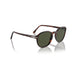Persol 0PO3343S 24/31-Havana Unisex Sunglasses 53 (M) 5