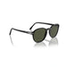 Persol 0PO3343S 95/31-Black Unisex Sunglasses 55 (L) 5