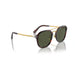 Persol 0PO3352S 24/31-Havana Unisex Sunglasses 5