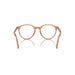 Persol 0PO3353V 1213 - Transparent Brown Unisex Eyeglasses 53 (XL) 4