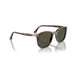 Persol 0PO3355S 24/31-Havana Unisex Sunglasses 54 (L) 5