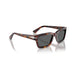 Persol 0PO3363S 24/B1-Havana Man Sunglasses 55 (L) 5