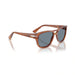 Persol 0PO3366S 96/56-Terra Di Siena Unisex Sunglasses 58 (L) 5