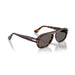Persol 0PO3369S 24/B1-Havana Unisex Sunglasses 54 (L) 5