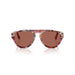 Persol 0po3370s-1220h2 56XL Cyclamen/khaki Unisex Sunglasses 6