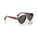 Persol 0PO3370S 24/B1-Havana Unisex Sunglasses 56 (XL) 5
