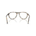 Persol 0PO3371V Lynn 1221 - Amber Brown/Pirate Black Unisex Eyeglasses 55 (L) 4