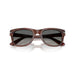 Persol 0po3372s-122371 55XL Striped burgundy Unisex Sunglasses 1