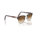 Persol 0PO3375S 24/51-Havana Unisex Sunglasses 50 (S) 5