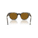 Persol 0po3379s-107133 Brown tortoise Unisex Sunglasses 4
