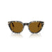 Persol 0po3379s-107133 Brown tortoise Unisex Sunglasses 6