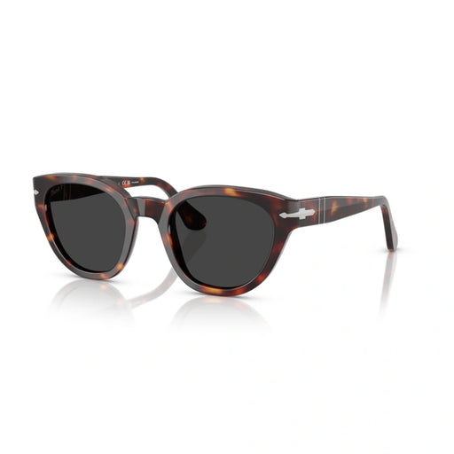 Persol 0PO3379S 24/48-Havana Unisex Sunglasses 51 (M) 2