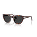 Persol 0PO3379S 24/48-Havana Unisex Sunglasses 51 (M) 2