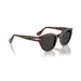 Persol 0PO3379S 24/48-Havana Unisex Sunglasses 54 (L) 5