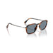 Persol 0po3381s-123556 Striped black & brown Unisex Sunglasses 5