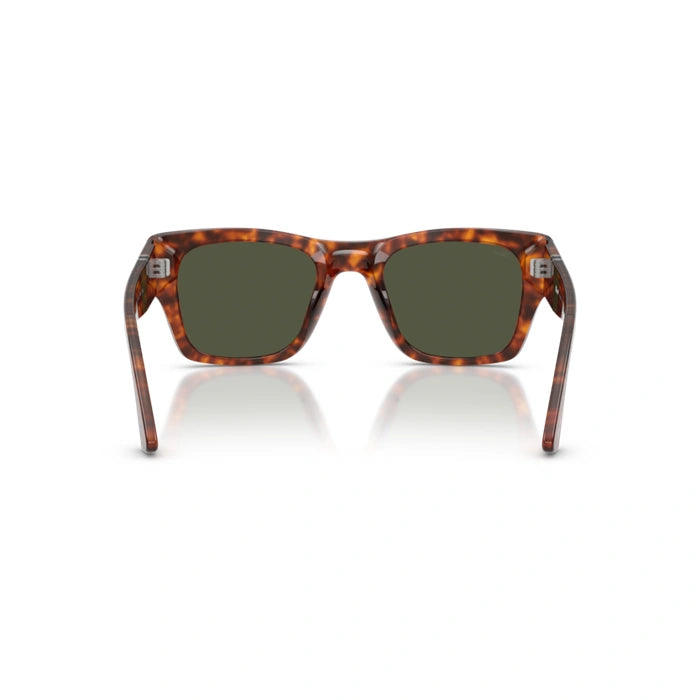 Persol 0PO3384S 24/31-Havana Unisex Sunglasses 54 (L) 4