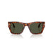 Persol 0PO3384S 24/31-Havana Unisex Sunglasses 54 (L) 6