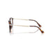 Persol 0PO3387V Pier 24 - Havana Unisex Eyeglasses 51 (XL) 3
